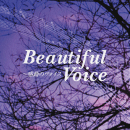 Beautiful Voice５