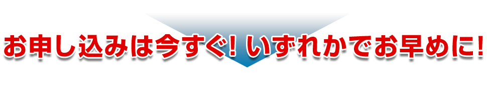 親日家、ポールが思いを馳せた日本の皆様へ3月31日（火）までの限定販売